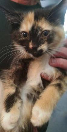 Here's Carly Here's Carly