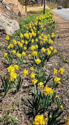 West Milford. Dancing in the breeze West Milford. Dancing in the breeze