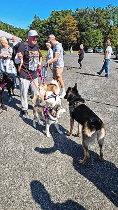 Dog Walk raises money for shelter Dog Walk raises money for shelter