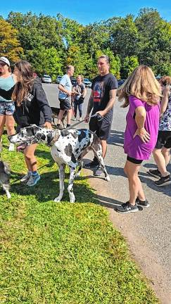 Dog Walk raises money for shelter Dog Walk raises money for shelter