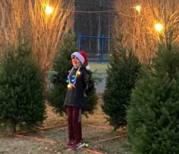 The Our Lady Queen of Peace Boy Scout Troop 159 sold its entire quantity of Christmas tree - all 250 of them. Photos provided by Nicholas Salleroli.