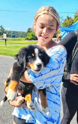 Dog Walk raises money for shelter A girl holds a Bernese Mountain Dog puppy.