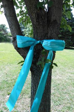 Local women bring awareness to ovarian cancer September is National Ovarian Cancer Awareness Month and two West Milford women, Cookie Gomm and Jennifer Bishop, have been busy working with the "Turn the Towns Teal" public awareness effort, getting the word out about this devastating disease and tying teal ribbons around township businesses and trees. 9/16/12. Photo by Ginny Raue