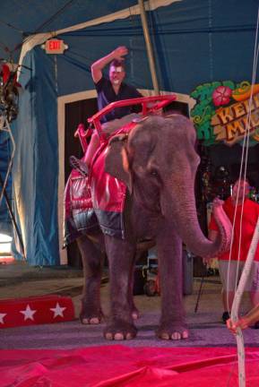 Circus bring smiles and cheers HEAT Chairman Tim Wagner entered the tent atop an elephant, waving to the crowd.