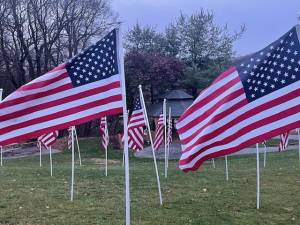 Flags will be placed at Bubbling Springs from Nov. 4 through 27. (Photos provided)