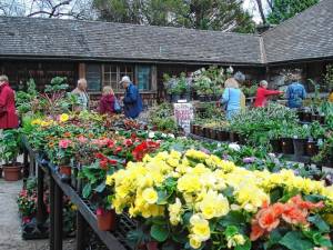The annual Plant Sale is this weekend at (Photos courtesy of NJBG)