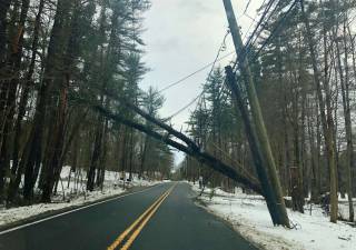 File photo by Julie TomaroA tree fell on power lines at Union Valley Road heading after Winter Storm Riley hit the area and caused power outages and road closures around the region.