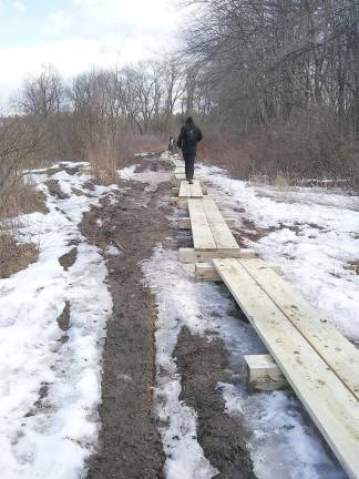 Luke Holmes walks along the 12 bog bridges he built his project on the Wallisch Homestead Environmental Trail.