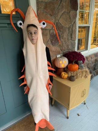 Halloween isn’t canceled Warwick, N.Y., resident Megan Rivelli’s 11-year-old son is dressing up as a shrimp this year (Photo provided)