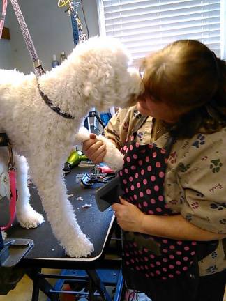 Dottie Anderson with goldendoodle Bailey.
