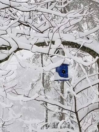 West Milford hit hard for second time in week, 21 inches of snow Photo by Patricia Keller Some scenes made by Winter Storm Quinn in West Milford were delightful, like this one in a resident’s backyard.