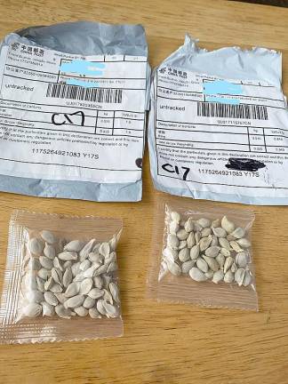 What to do with those unsolicited seeds from China?