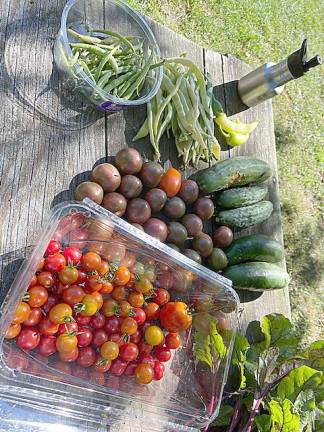 Here is just one example of bounty shared with local food pantries through the efforts of Ample Harvest West Milford. Photos provided by Cathy Bruce/Ample Harvest West Milford.