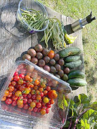 Here is just one example of bounty shared with local food pantries through the efforts of Ample Harvest West Milford. Photos provided by Cathy Bruce/Ample Harvest West Milford.