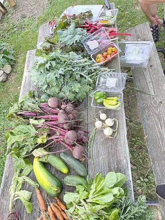Ample Harvest West Milford encourages home gardeners to set aside room in their gardens to raise produce that can be donated to local food pantries.