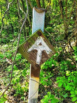 Budget cuts could hurt Appalachian Trail <b>An Appalachian Trail blaze along the lower New York portion of the trail. (Photo by J. Scherer)</b>