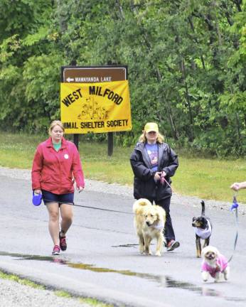 Sun shines on the dog walkers Big and small, the wald-a-dog-athon was made for all.