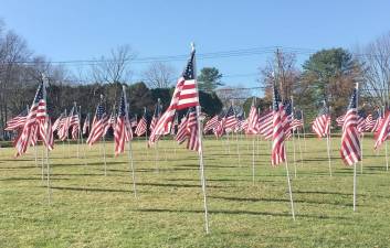 People are being given the opportunity to honor their personal heroes by flying a flag at Bubbling Springs Park in their honor.