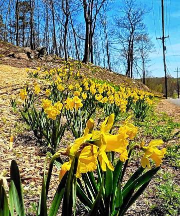 West Milford. Dancing in the breeze West Milford. Dancing in the breeze