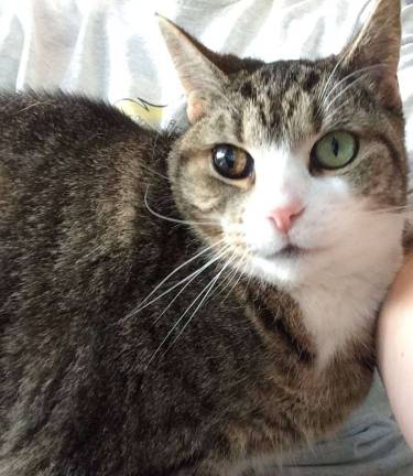 She Has David Bowie Eyes