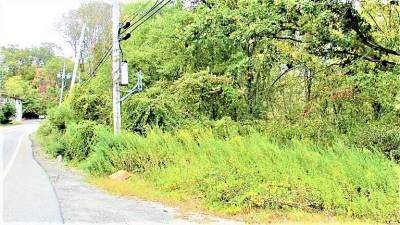 Weeds and debris are visible on Macopin Road just below Weaver Road. The weeds once again took over after chemical spraying by Passaic County left dead grass during summer.