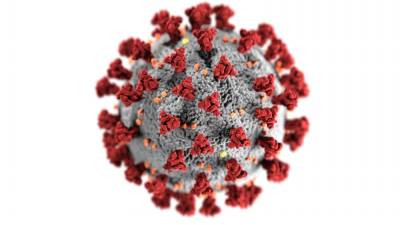 Positive cases of the COVID-19 viruses have been on the rise in West Milford since the end of the summer - and the return of in-person education for all kids in NJ schools. School officials addressed what has happened and what has been done at the last School Board meeting. Photo by the CDC.