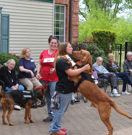 Goin' to the dogs Smooch!