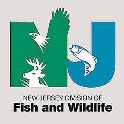 Trenton. NJ Fish and Wildlife says delivery of online-purchased licenses will be delayed Trenton. NJ Fish and Wildlife says delivery of online-purchased licenses will be delayed
