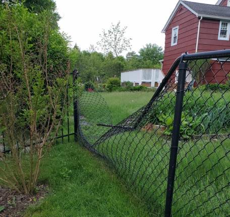 Locals bear with it “Damage that one caused to our backyard fence! There are so many this year.” - West Milford resident Kim Tolnai.