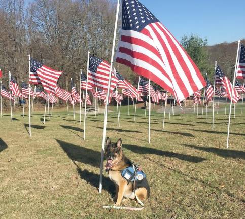 People are being given the opportunity to honor their personal heroes by flying a flag at Bubbling Springs Park in their honor. Photos by Ann Genader.