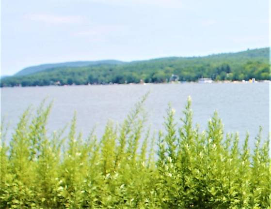 Greenwood Lake from Brown's Point in West Milford.