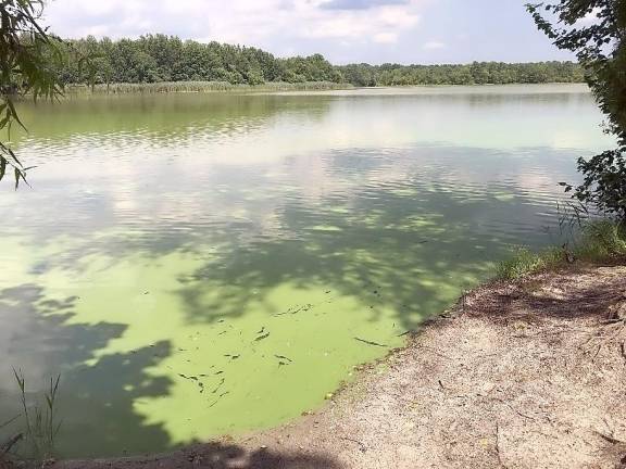 A HAB on Pemberton Lake in Burlington County.