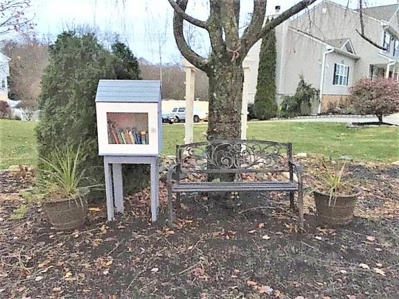 Girl Scout earns Silver Award with free neighborhood libraries