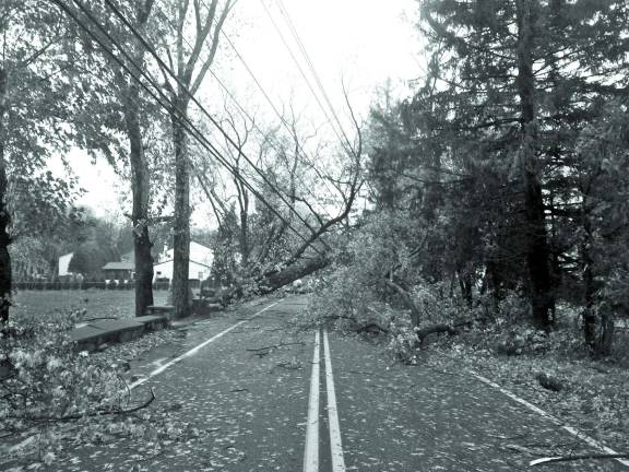 Sandy devastates New Jersey Photo provided by Lou Signorino Crews worked on clearing the tree that fell across Maple Road Tuesday afternoon.