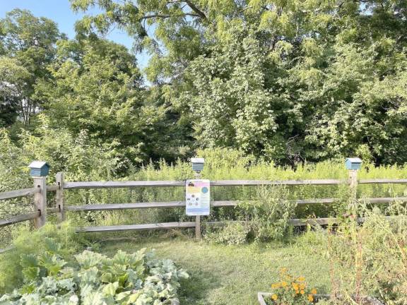 The mason bee homes can be found in local community gardens and the Douglass Memorial Native and Wild Medicinal Plant Garden.