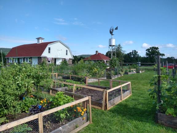 Local green thumbs harvest top honors Wallisch Homestead Community Garden took first place for Best Community Garden. (Photo provided)