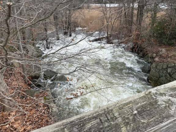 WA1 Water rushing in Wawayanda State Park in Hewitt after recent rain and snowstorms. (Photo provided by Michael D’Agostino)