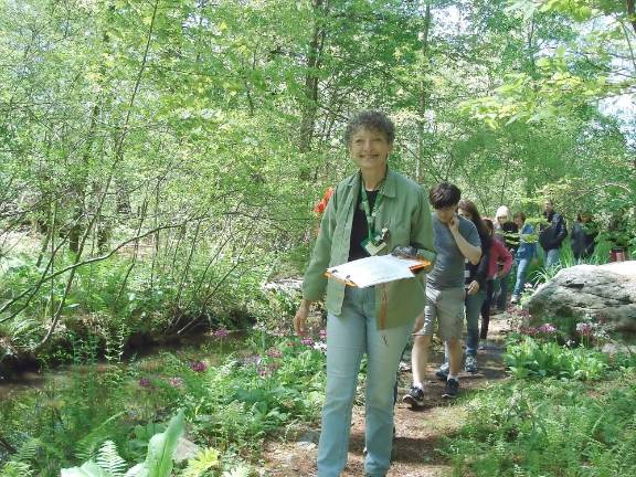 Join the NJBG’s Wildflower Walk on August 13 with Darlene Nowak.