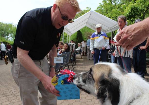 Goin' to the dogs Mongo gives the prize the sniff test.