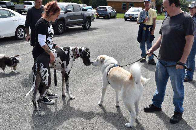 Dogs sniff each other at the event.