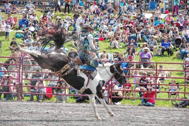 Rodeo is Saturday at Green Valley Farms Spectators watch a rider on a bucking horse during the saddle bronc riding contest.