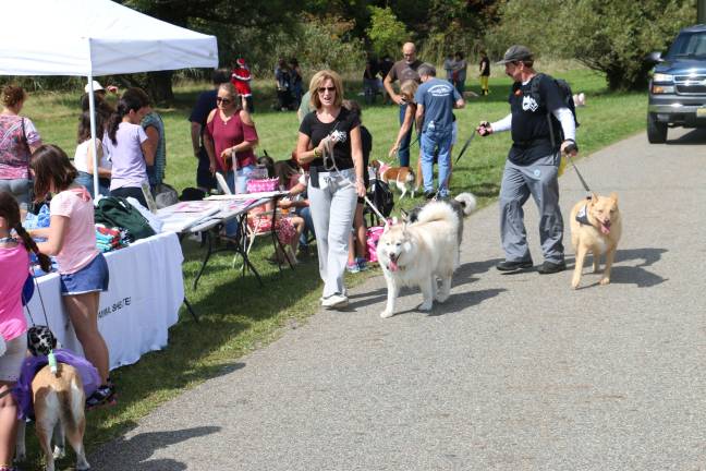 Pooches strut their stuff in Walk-a-Dog-athon Dozens of pooches and their humans strutted their stuff Sunday in Wawayanda State Park during the West Milford Animal Shelter's annual Walk-a-Dog-athon.