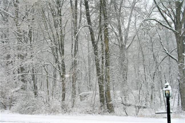 Town gets brunt of first winter storm