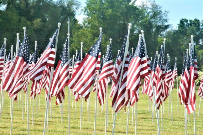 The Flags for Heroes display in Warwick earlier this year.