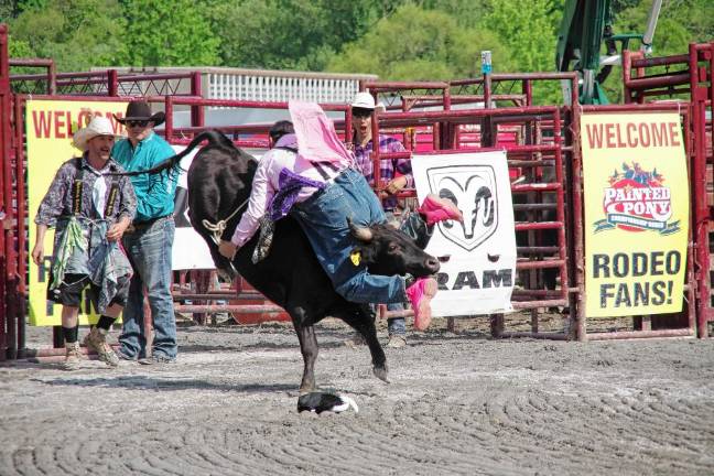 Rodeo is Saturday at Green Valley Farms Rodeo clown Scotty Too Hotty hangs on for dear life in the bull riding contest.