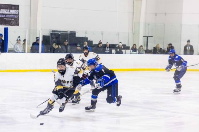 West Milford High School sophomore Joe Barroquerio (5) controls the puck.