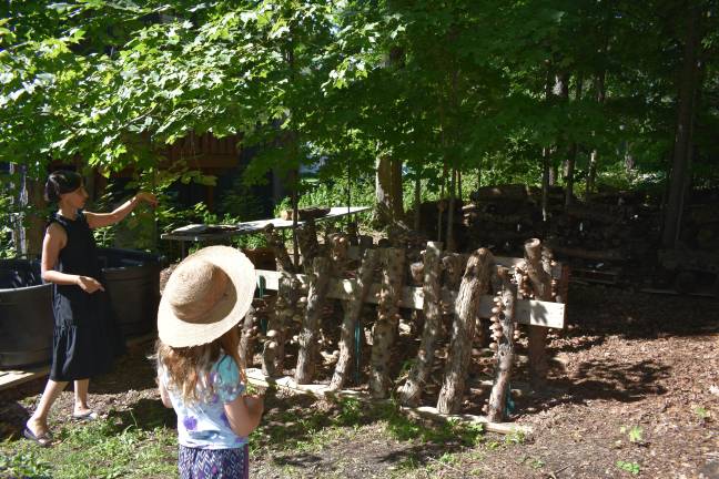 Learn how to grow your own groceries at the 11th annual Kitchen Garden Tour Aysha Venjara shows attendees how she grows mushrooms on logs outside her Chester, N.Y. home. Venjara’s garden is one of over a dozen to see during the Aug. 3 tour.