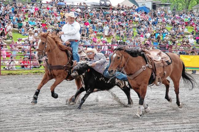 Rodeo is Saturday at Green Valley Farms Brayden Mahon of Lake Luzerne, N.Y., jumps from his horse onto a steer during the steer wrestling contest during the pro rodeo last year at Green Valley Farms in Wantage. (Photos by George Leroy Hunter)