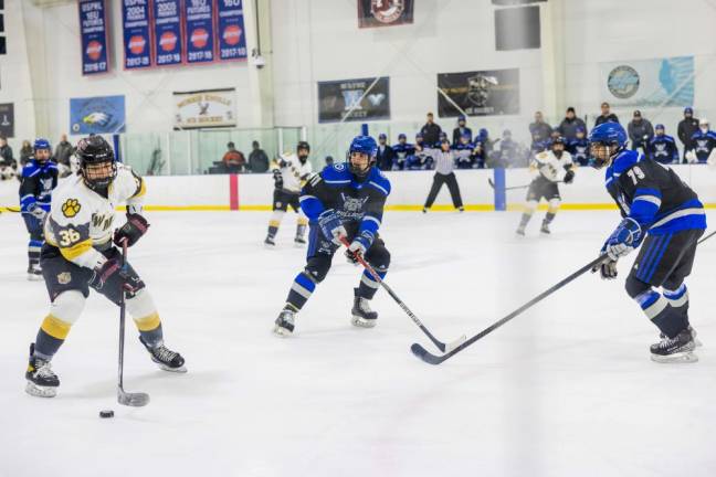 Sean Hughes (36) guides the puck.