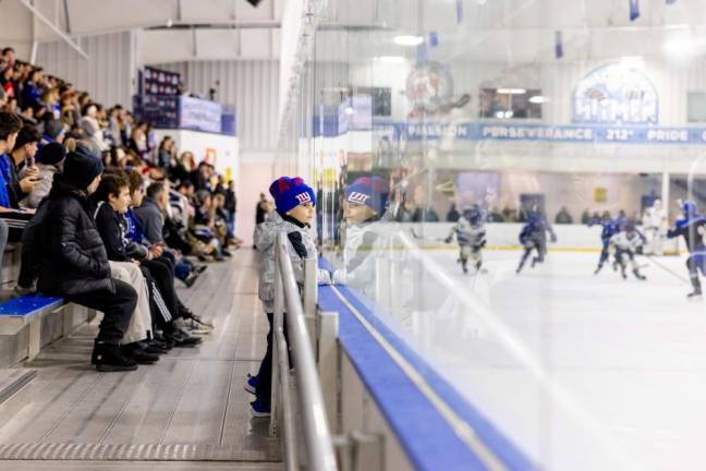 Fans watch the action at the Ice Vault Arena in Wayne.